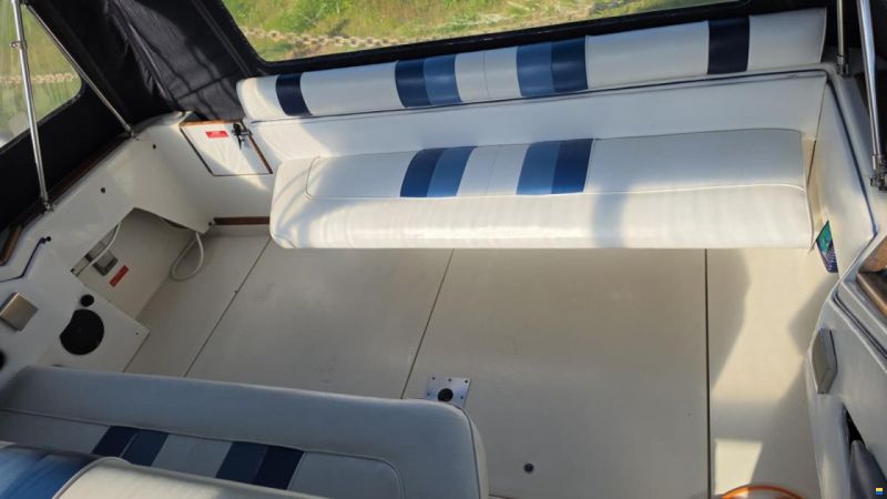 SEARAY SeaRay 310