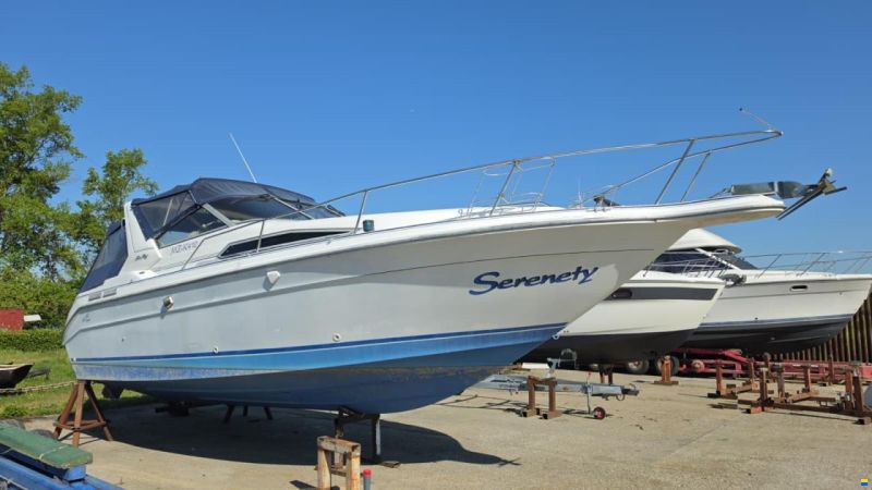 SEARAY SeaRay 310