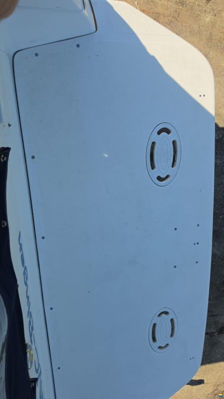 SEARAY SeaRay 310
