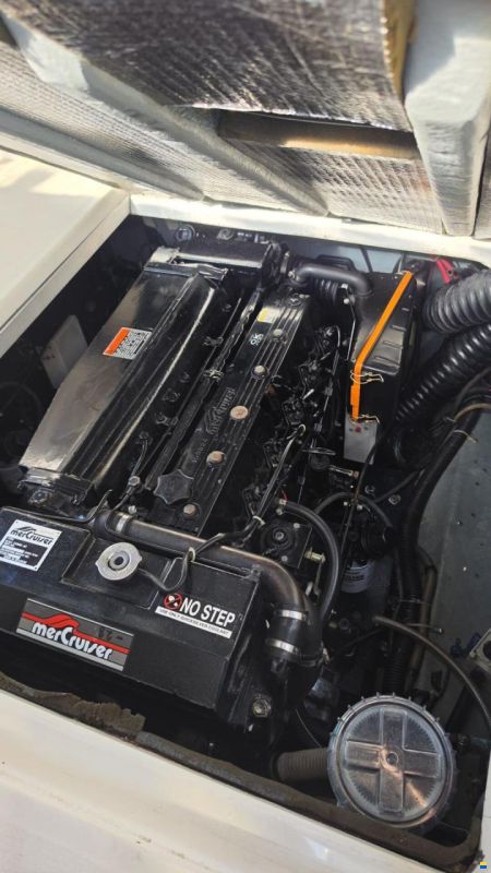 SEARAY SeaRay 310