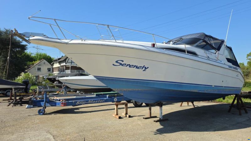 SEARAY SeaRay 310