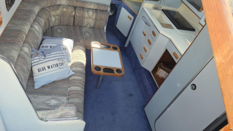 SEARAY SeaRay 310