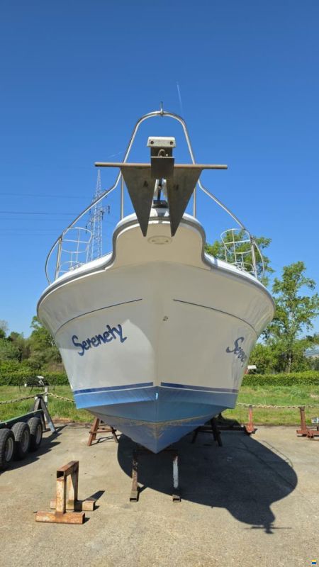 SEARAY SeaRay 310