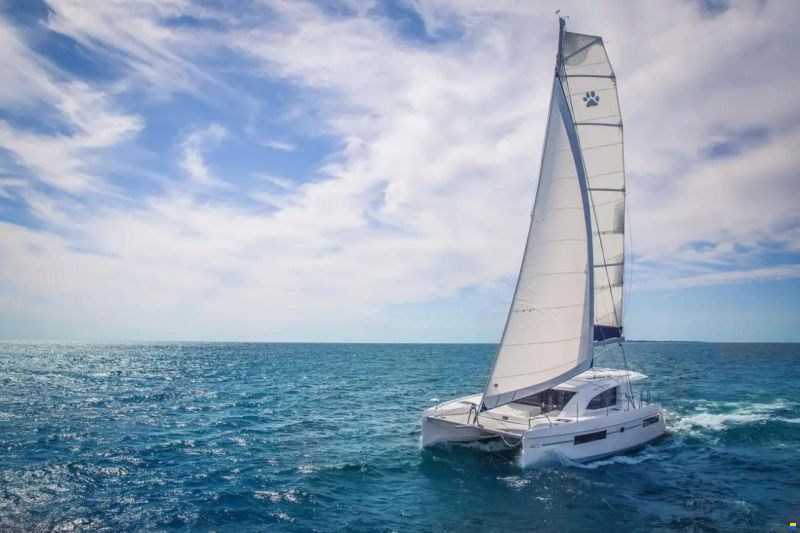 Leopard 40
