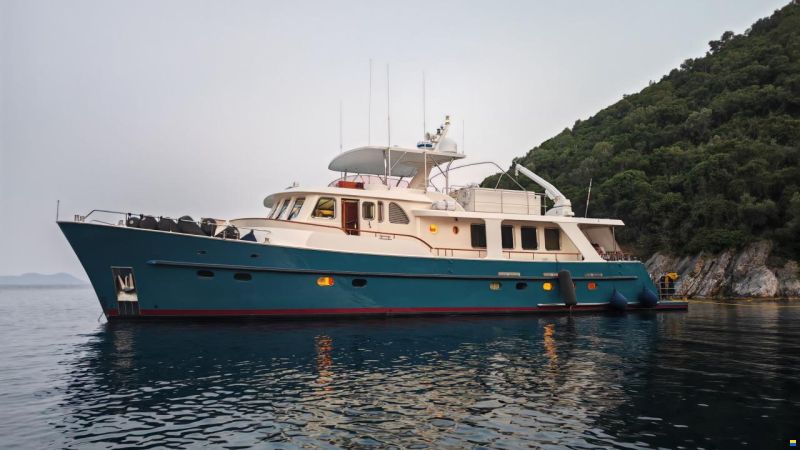 Alm Delfino 79