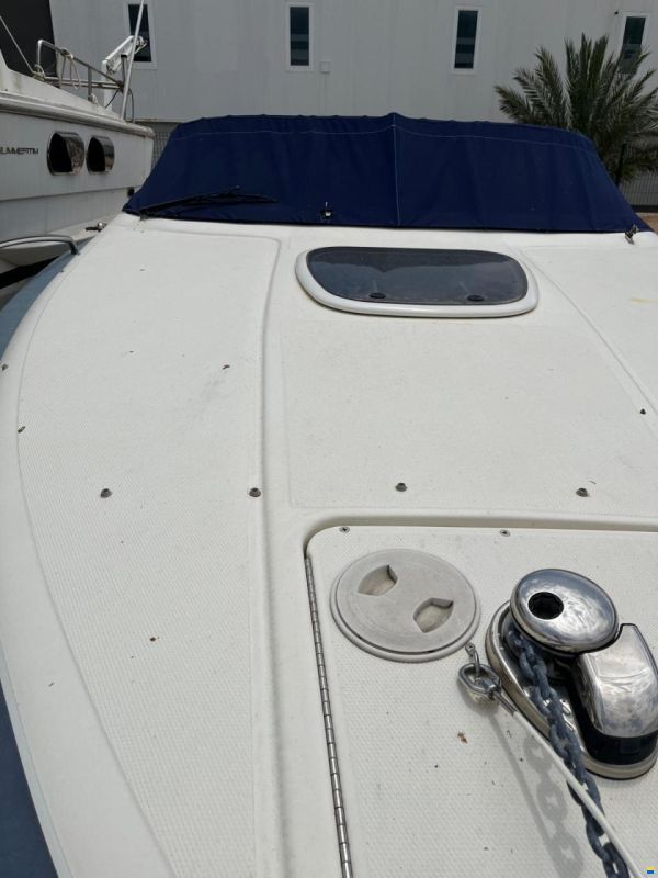 Sea Ray 240 sse