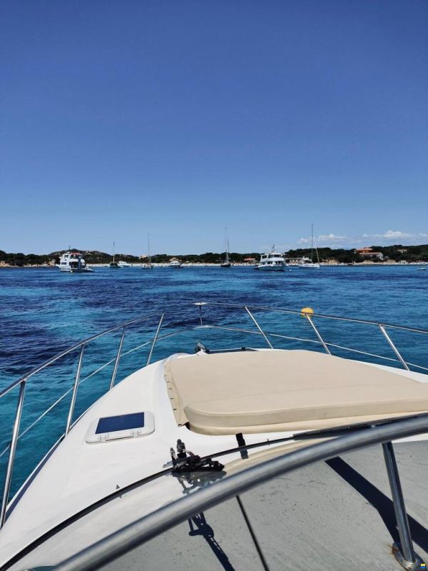 Bayliner Ciera 30.55