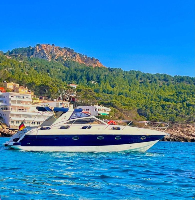 Princess V40