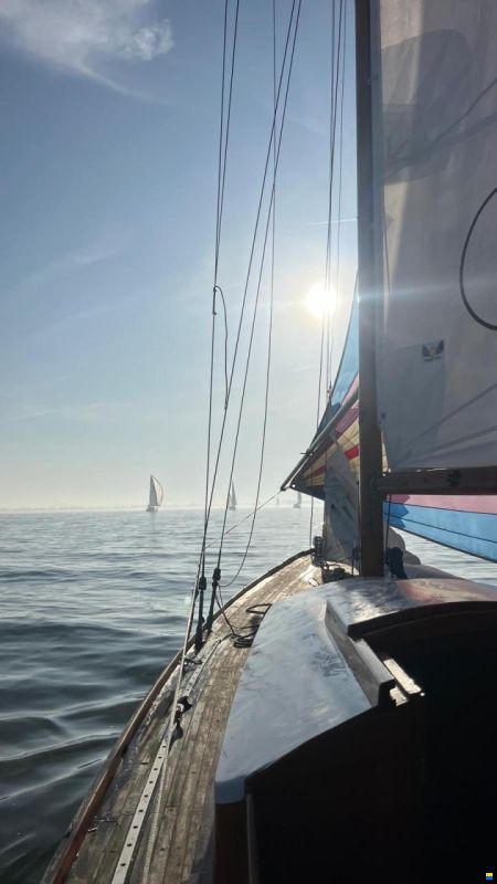 6Metre class