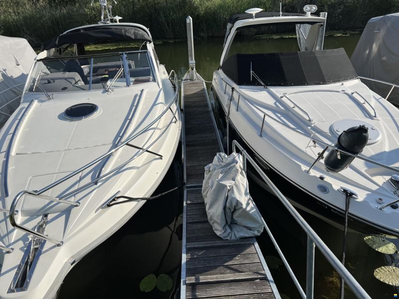 Marex 350 CC