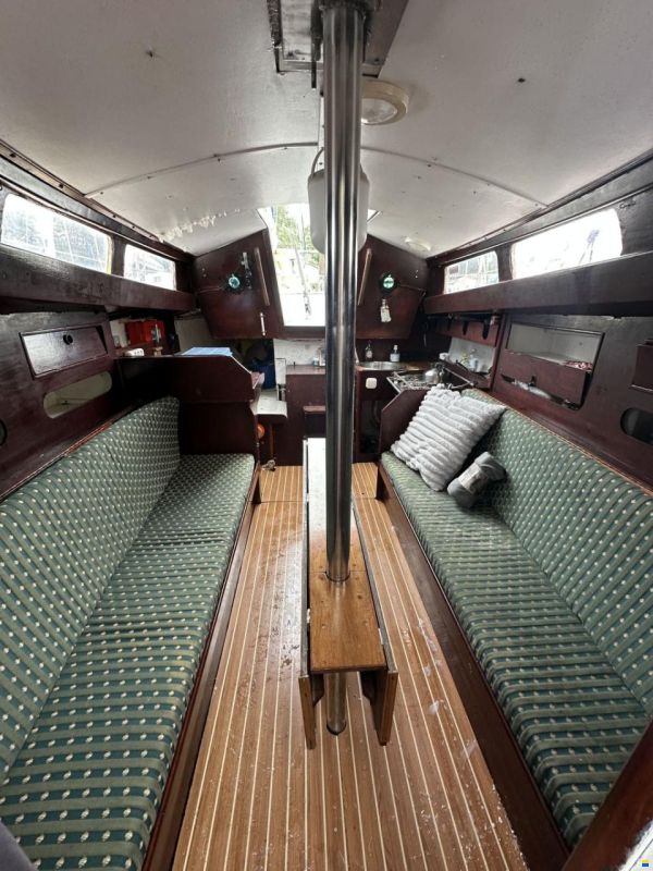 Van der Stadt Pioneer