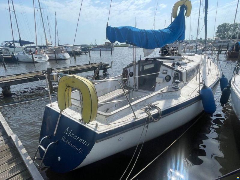 Van der Stadt Pioneer