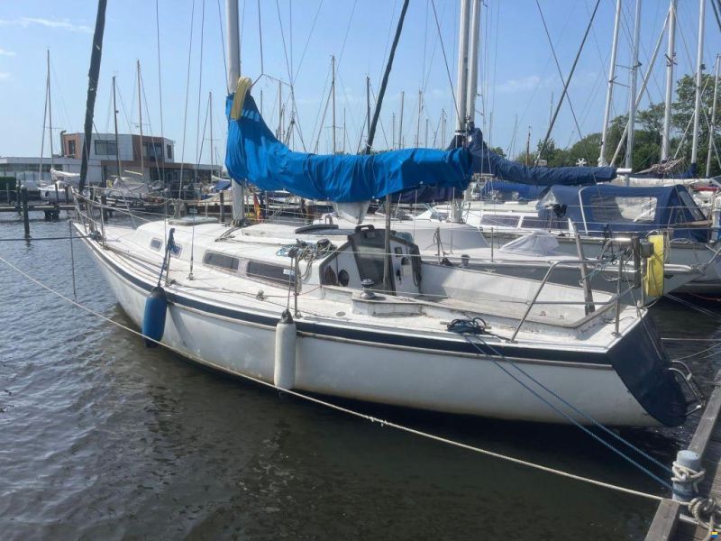 Van der Stadt Pioneer