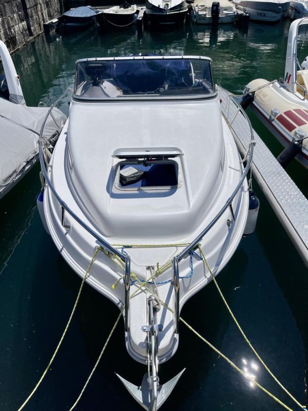 Drago 550