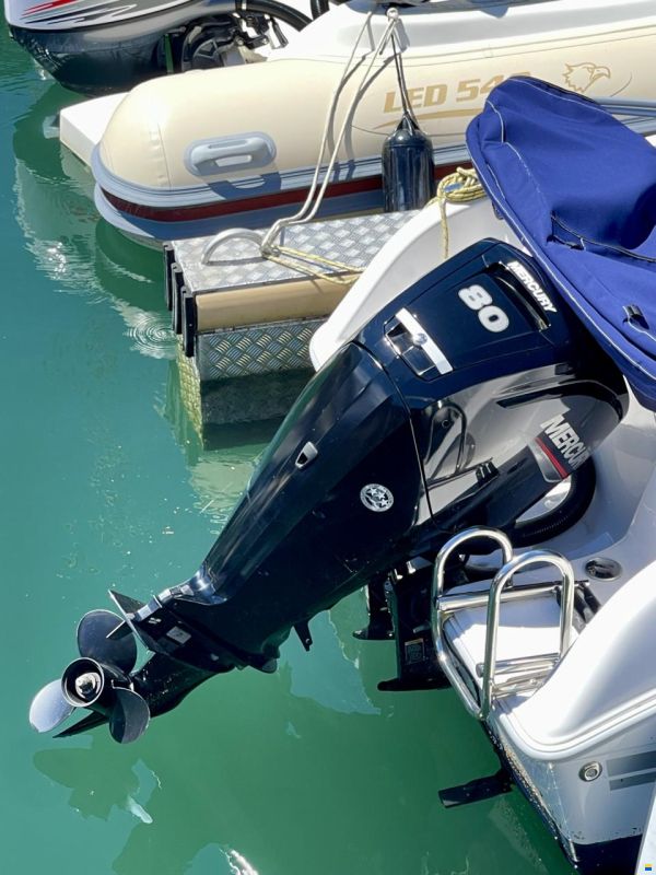 Drago 550