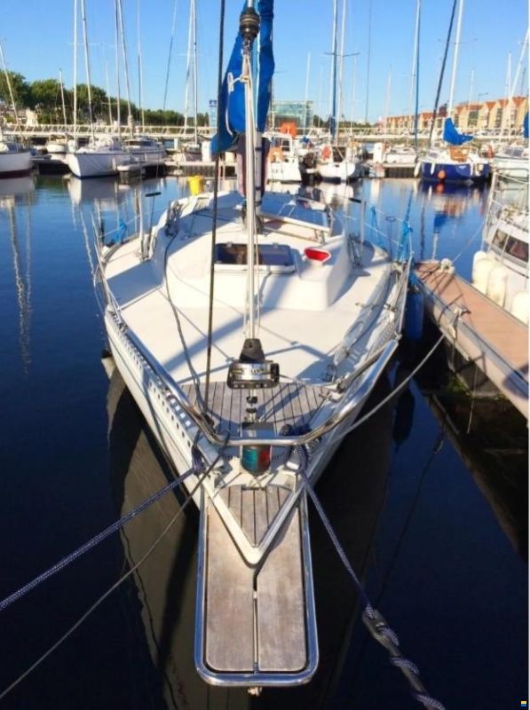 SY Omega 28