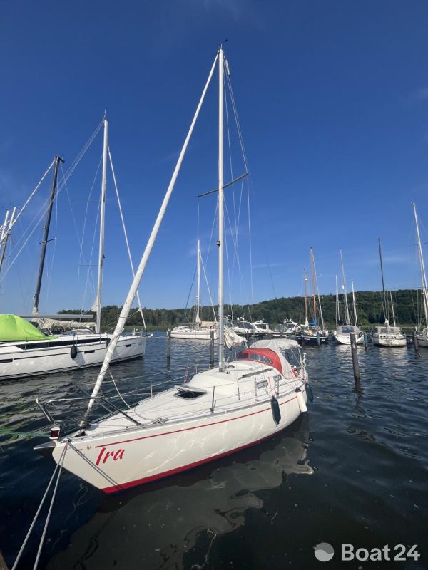 Albin Accent 26