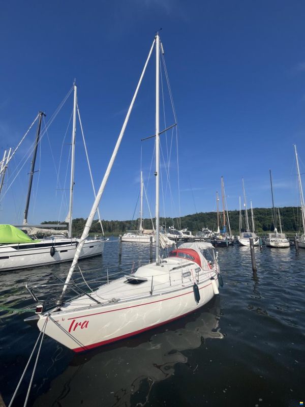 Albin Accent 26