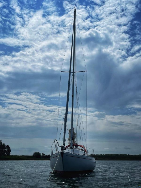 Albin Accent 26