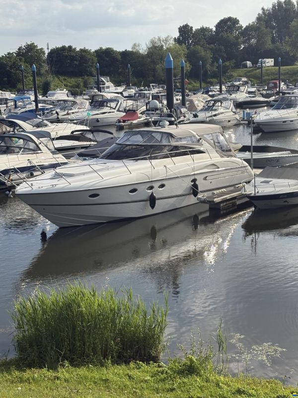 Princess V50