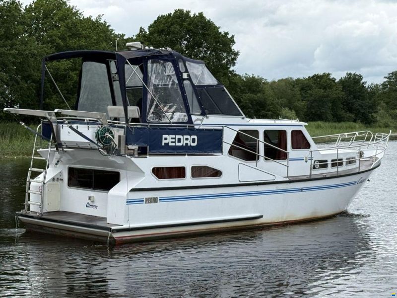 Pedro 37