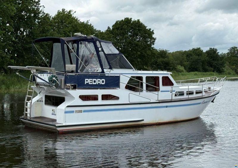 Pedro 37
