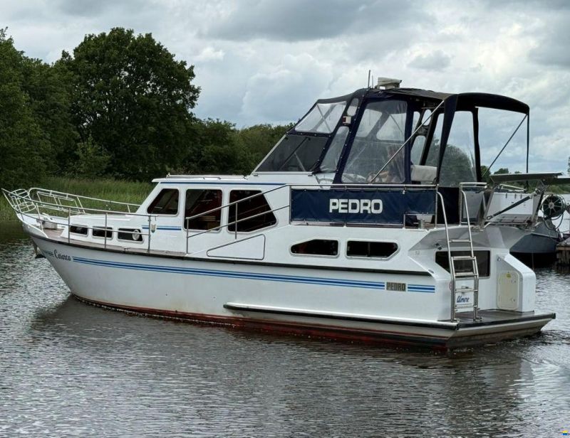 Pedro 37