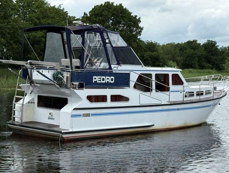Pedro 37