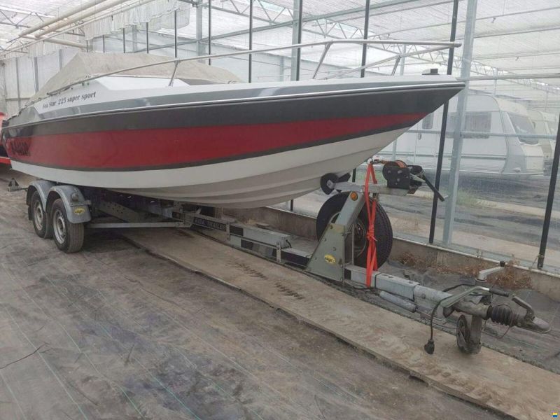 Sea Star Galaxy Supersport 225