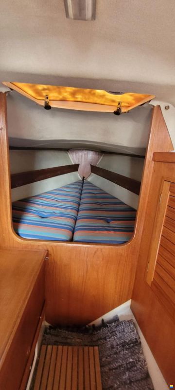 Botnia NF30