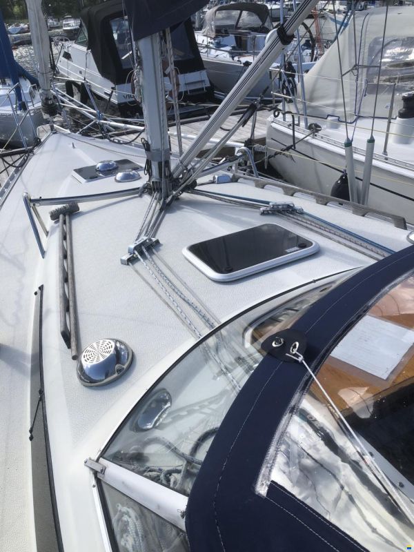 Pelle Peterson Maxi 33