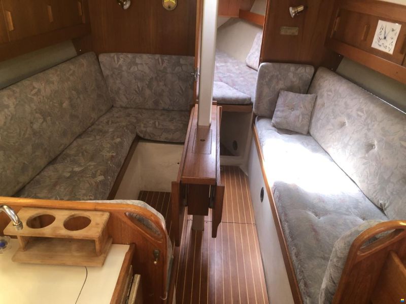 Pelle Peterson Maxi 33