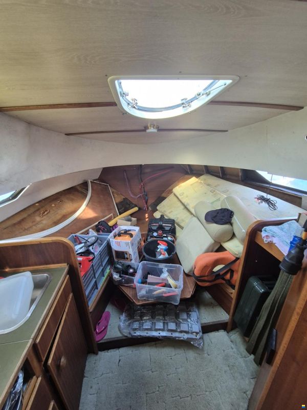 Coronet Family 26 Sport