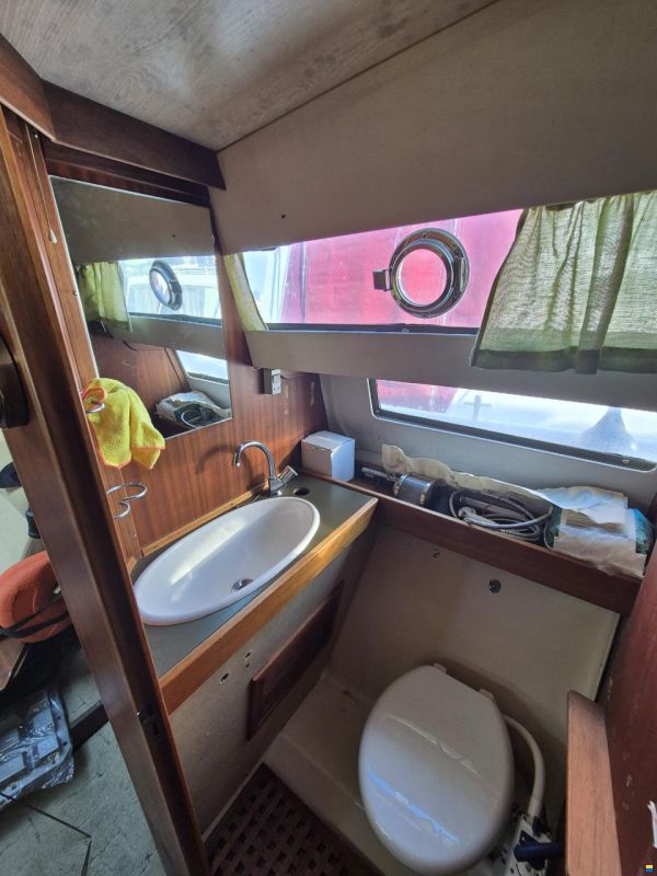 Coronet Family 26 Sport