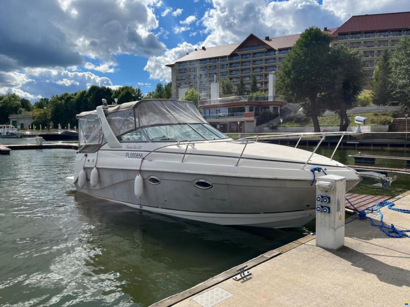 Rinker 270
