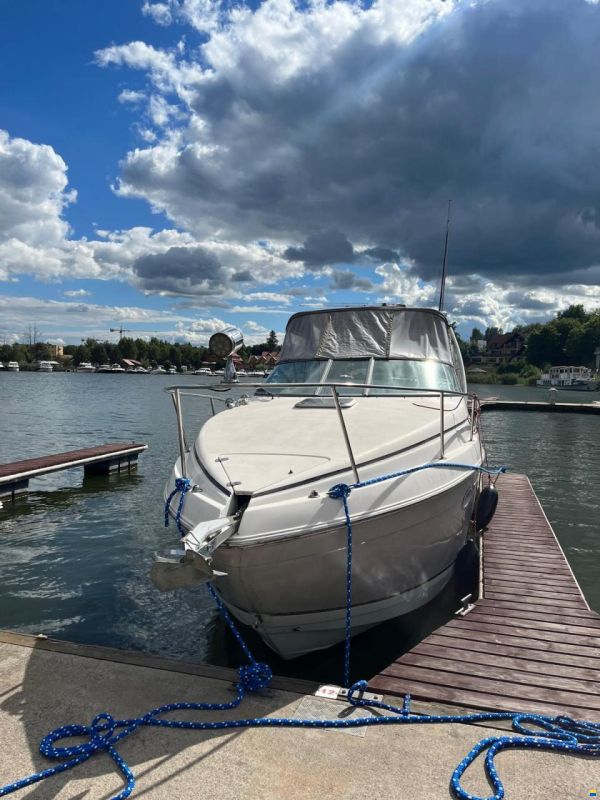 Rinker 270