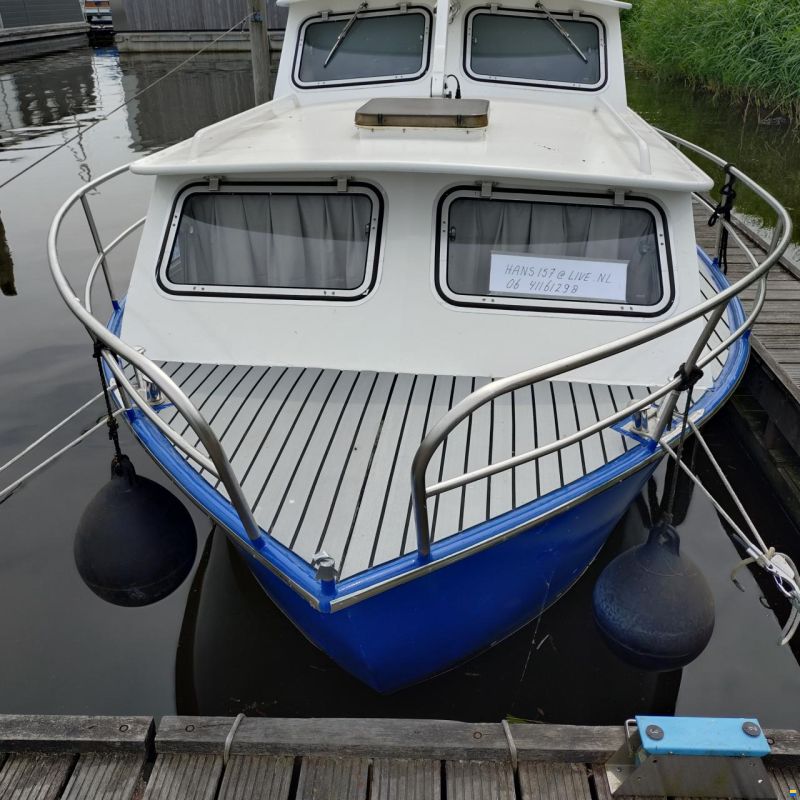 Dongemondkruiser