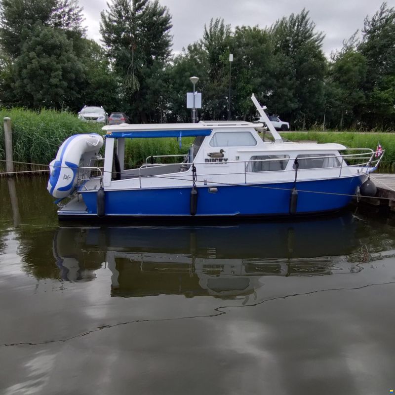Dongemondkruiser