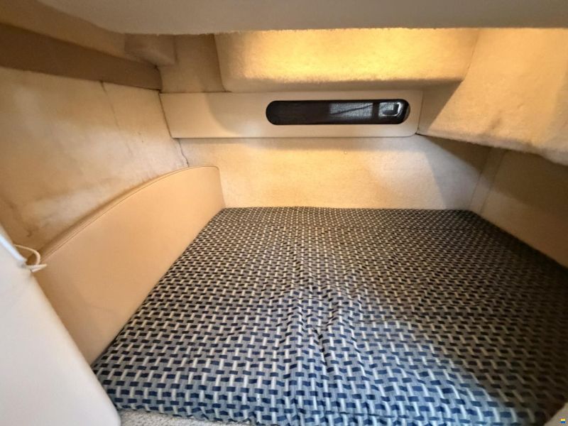 Bayliner 305