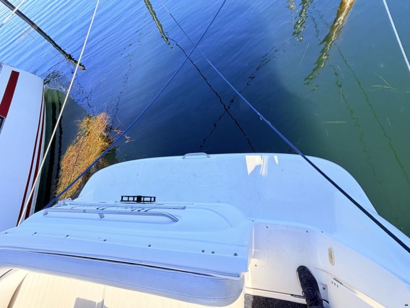 Bayliner 305