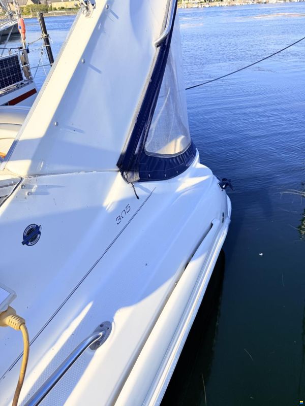 Bayliner 305