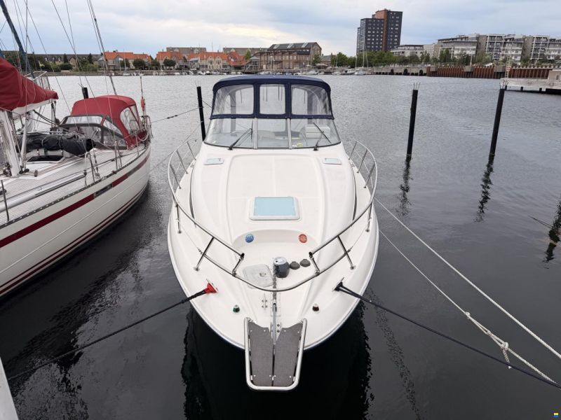 Bayliner 305