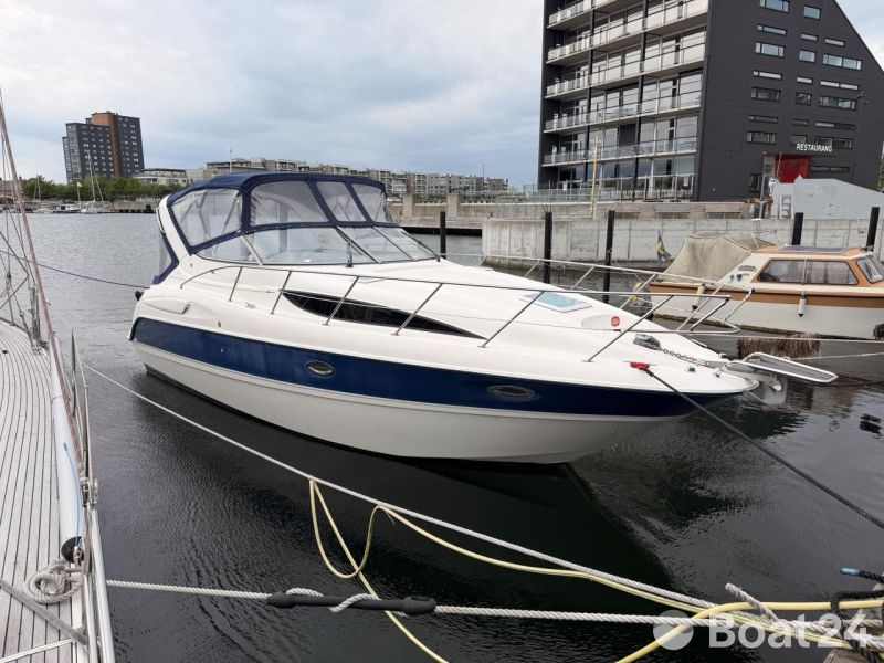 Bayliner 305