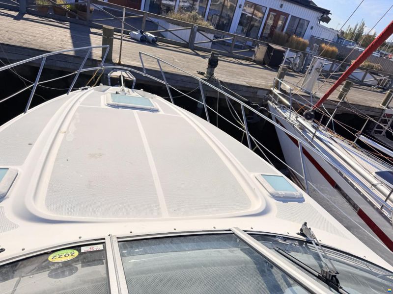 Bayliner 305