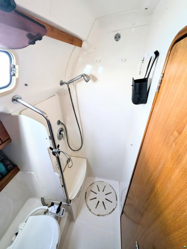 Bavaria 39 Cruiser