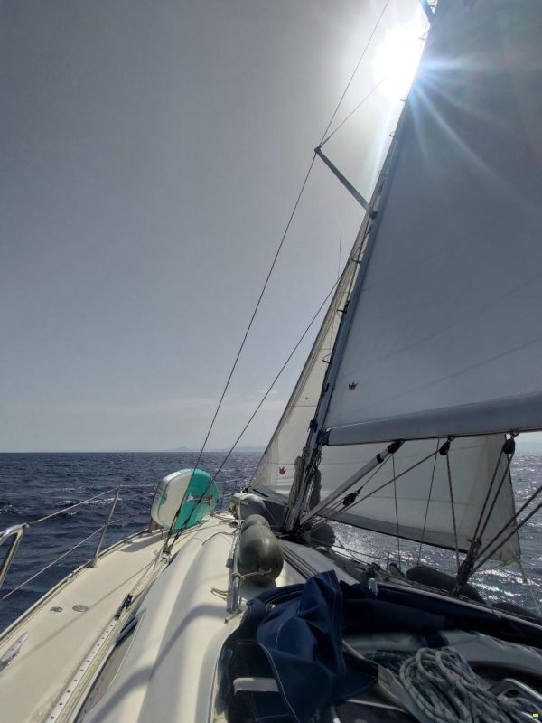 Bavaria 39 cruiser