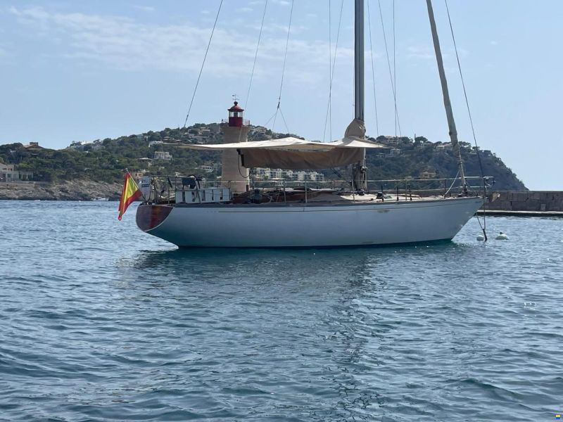 Sangermani Clase IV IOR