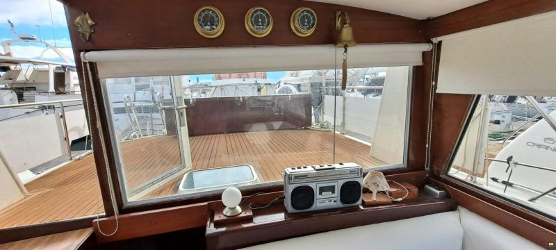 Schwarz Imperator 41