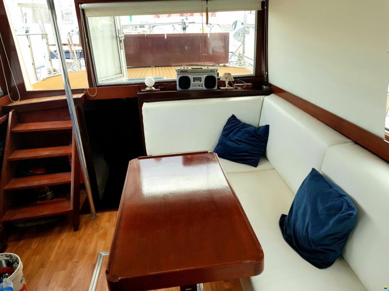 Schwarz Imperator 41
