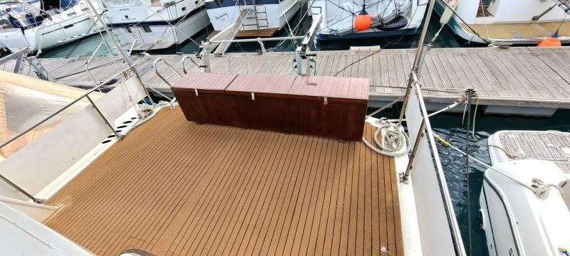 Schwarz Imperator 41